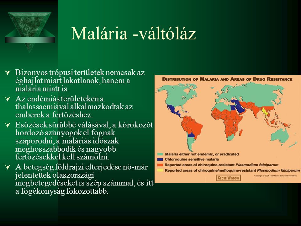 Malária -váltóláz Bizonyos trópusi területek nemcsak az éghajlat miatt lakatlanok, hanem a malária miatt is.