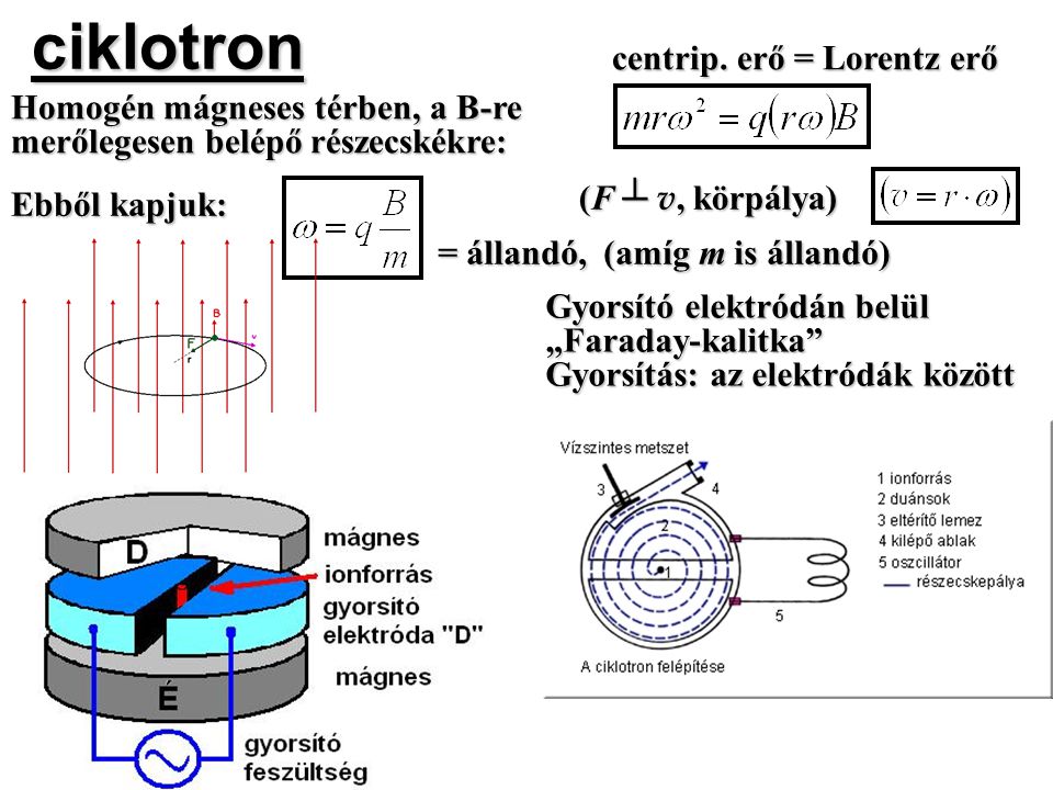 ciklotron centrip. erő = Lorentz erő Homogén mágneses térben, a B-re