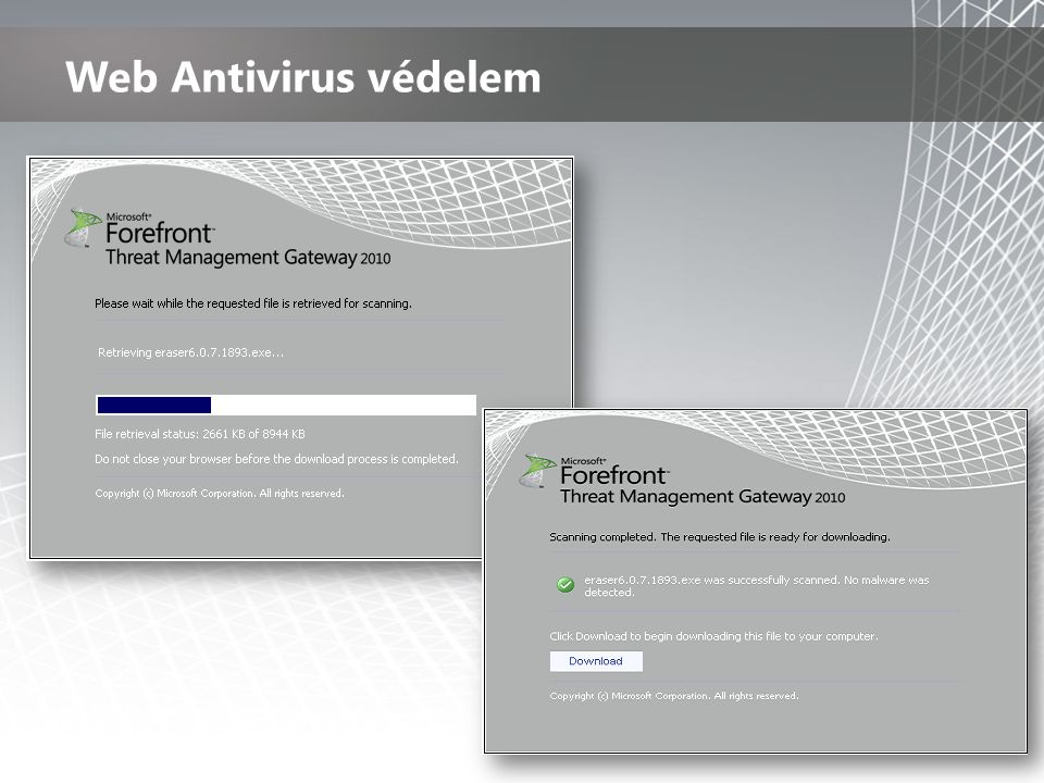 Web Antivirus védelem