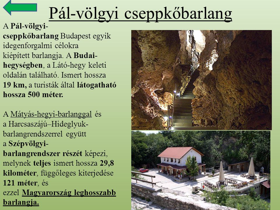Pál-völgyi cseppkőbarlang