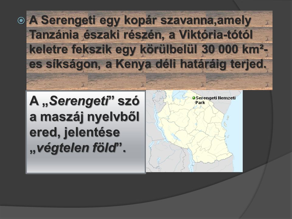 A „Serengeti szó a maszáj nyelvből ered, jelentése „végtelen föld .