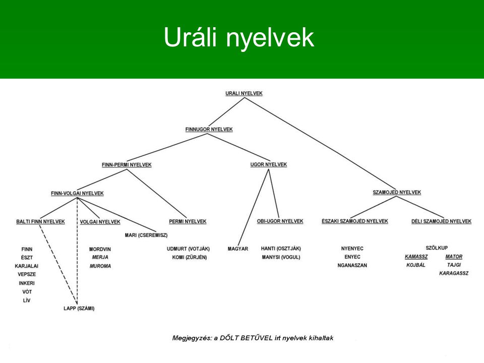 Uráli nyelvek