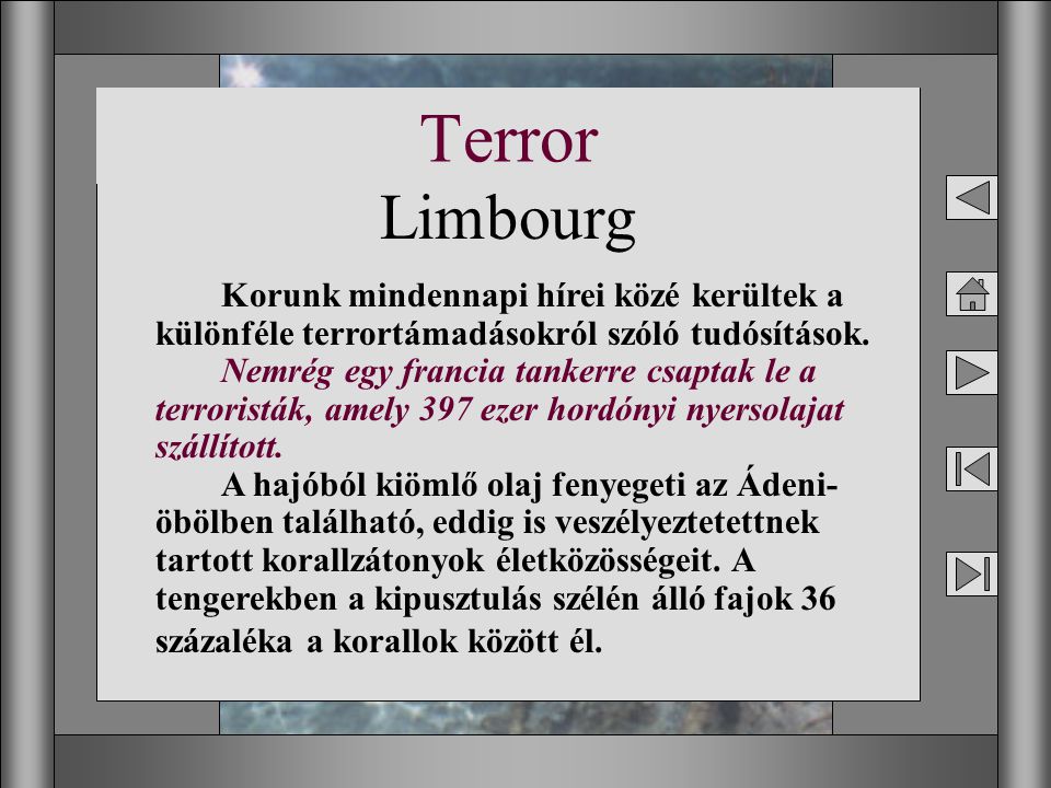 Terror Limbourg.