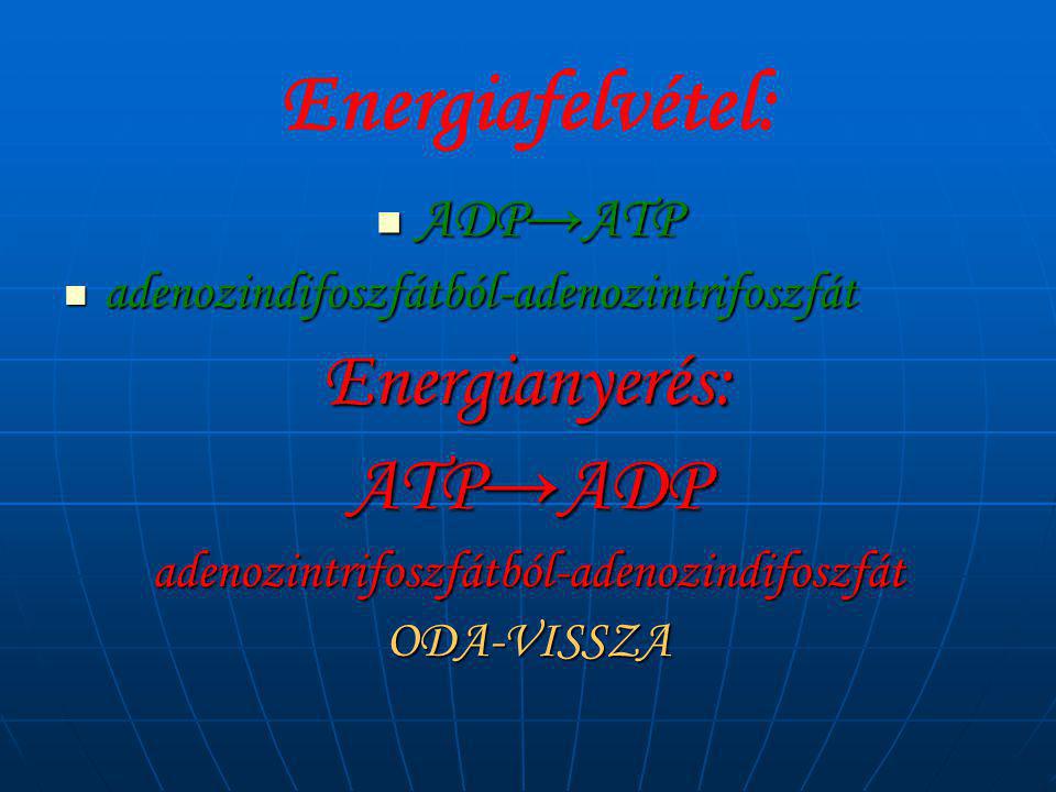 adenozintrifoszfátból-adenozindifoszfát