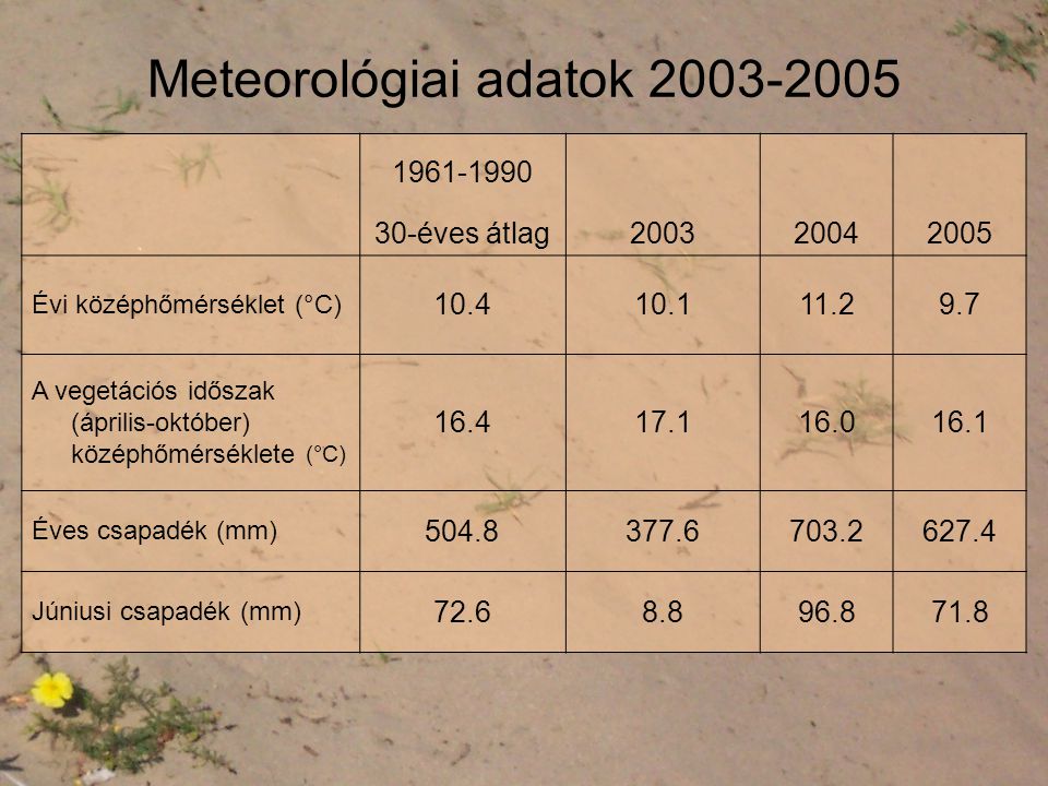 Meteorológiai adatok
