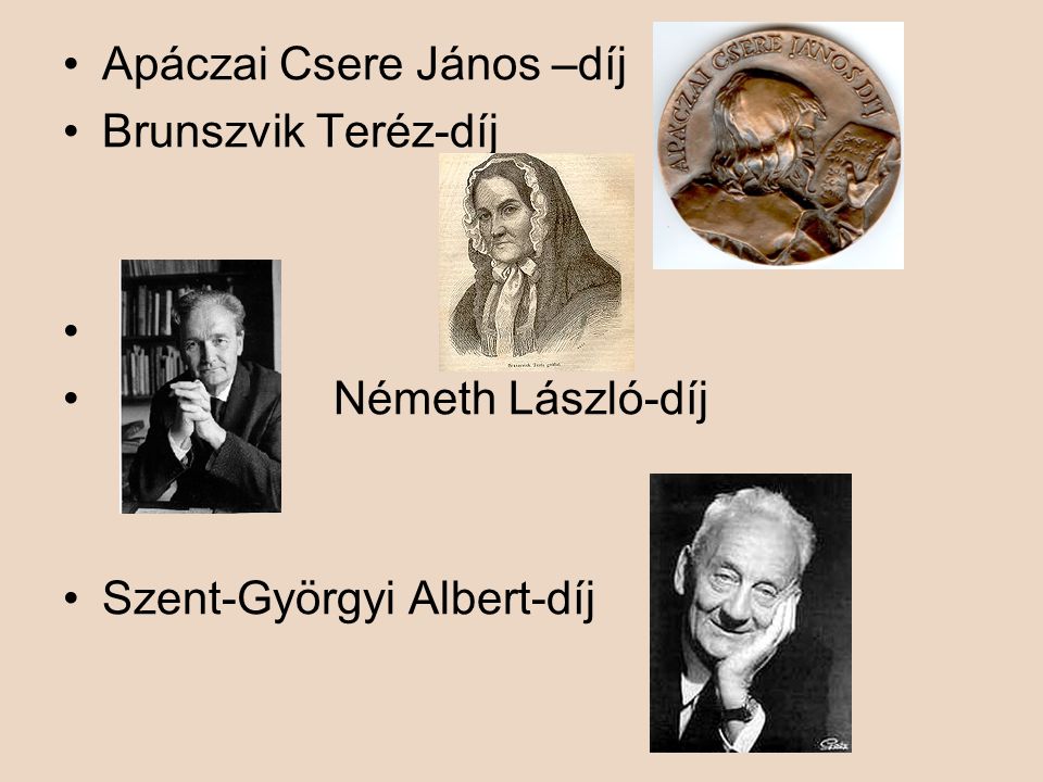 Apáczai Csere János –díj