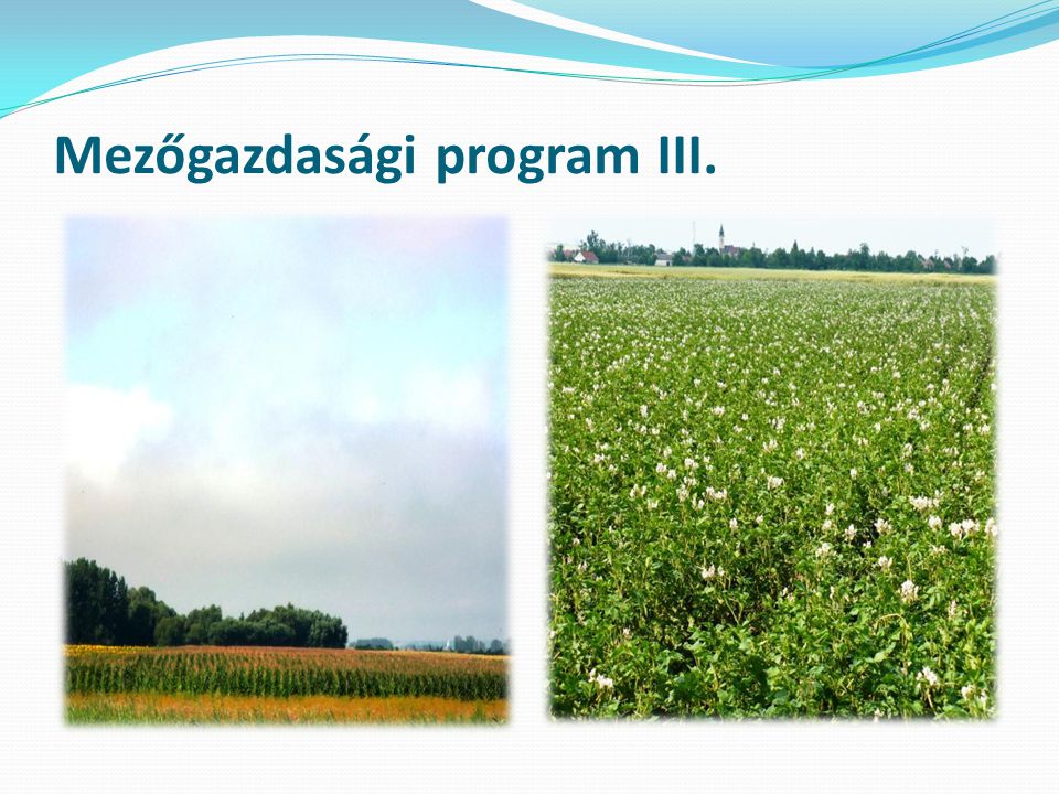 Mezőgazdasági program III.