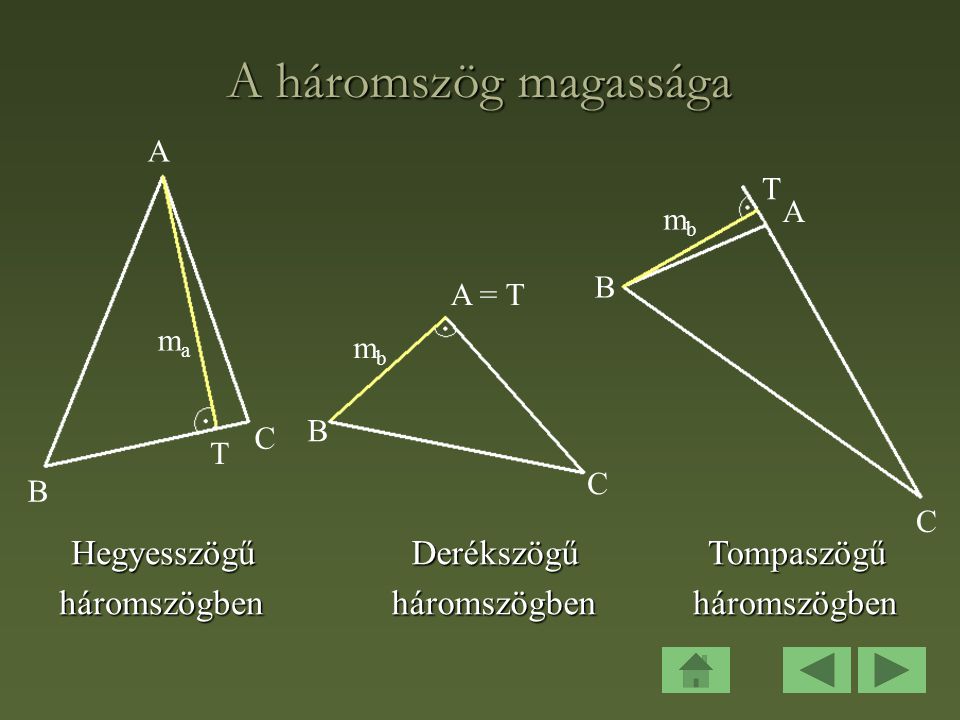 A háromszög magassága Tompaszögű háromszögben Derékszögű Hegyesszögű A