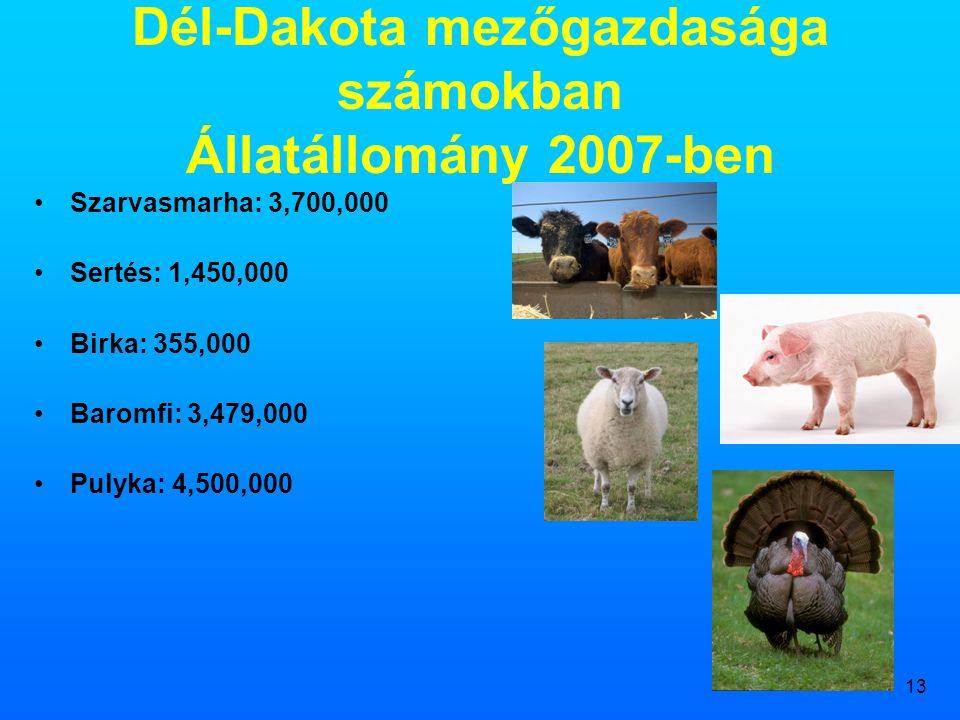 Dél-Dakota mezőgazdasága számokban Állatállomány 2007-ben