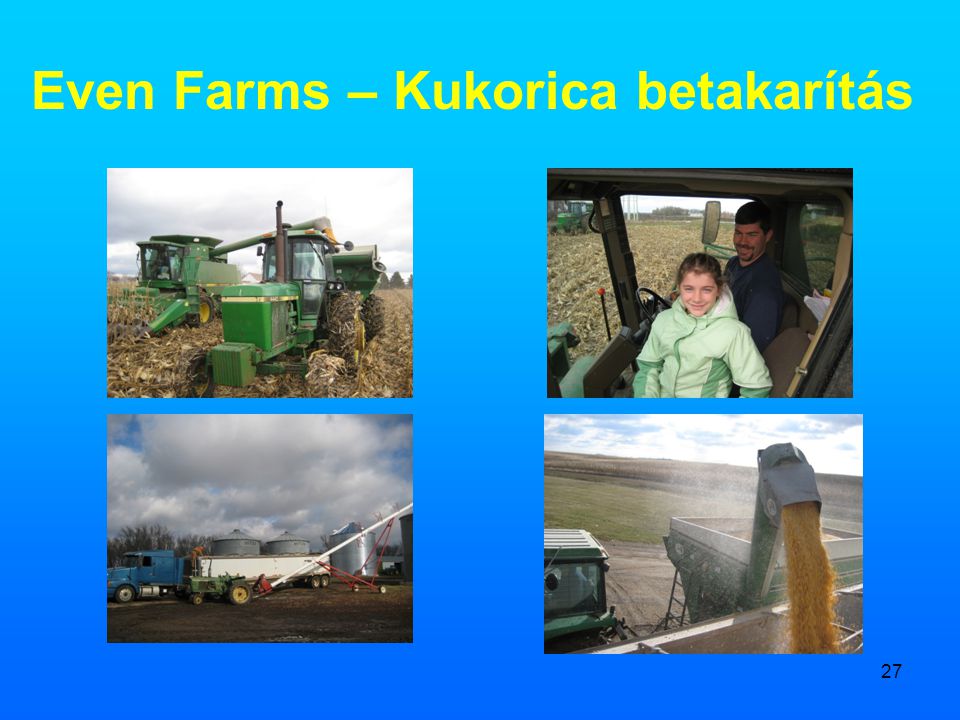 Even Farms – Kukorica betakarítás