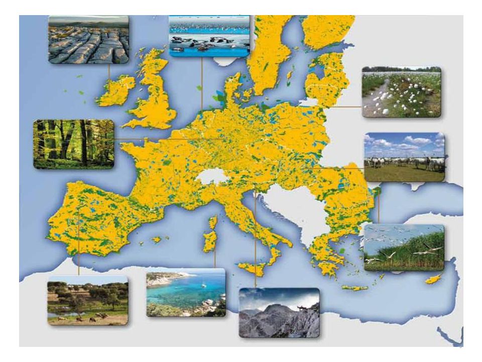 Natura 2000 az Európai unió ökológiai hálózata