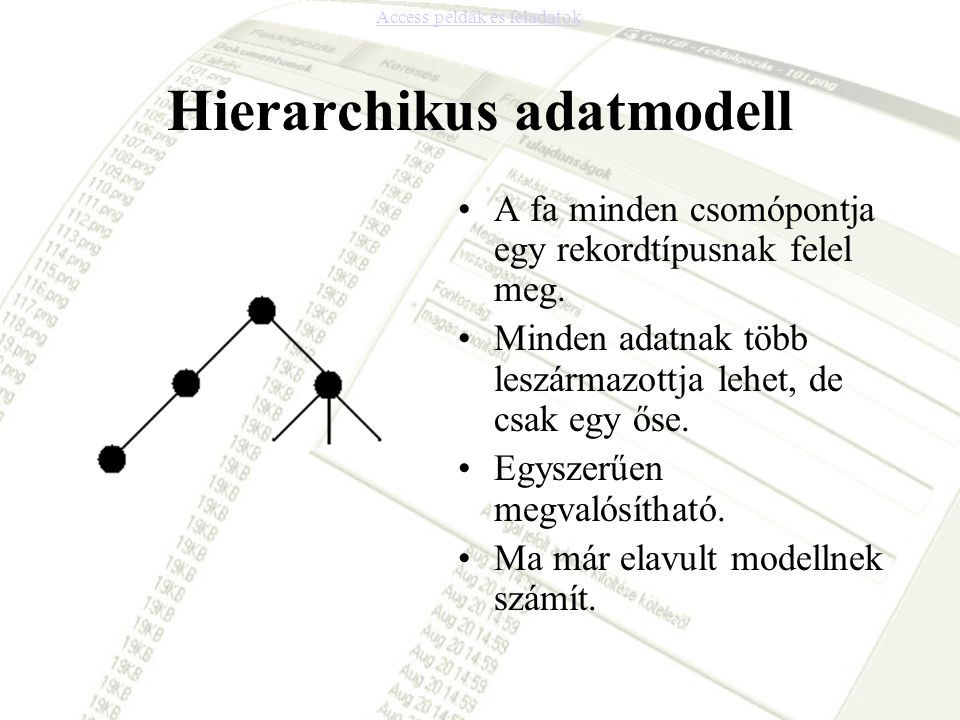 Hierarchikus adatmodell