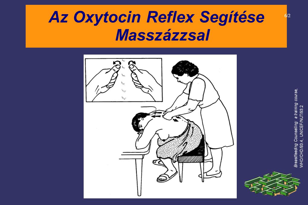 Az Oxytocin Reflex Segítése Masszázzsal