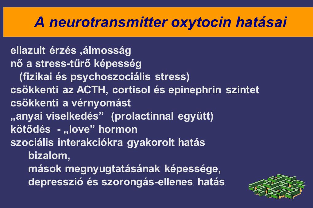 A neurotransmitter oxytocin hatásai
