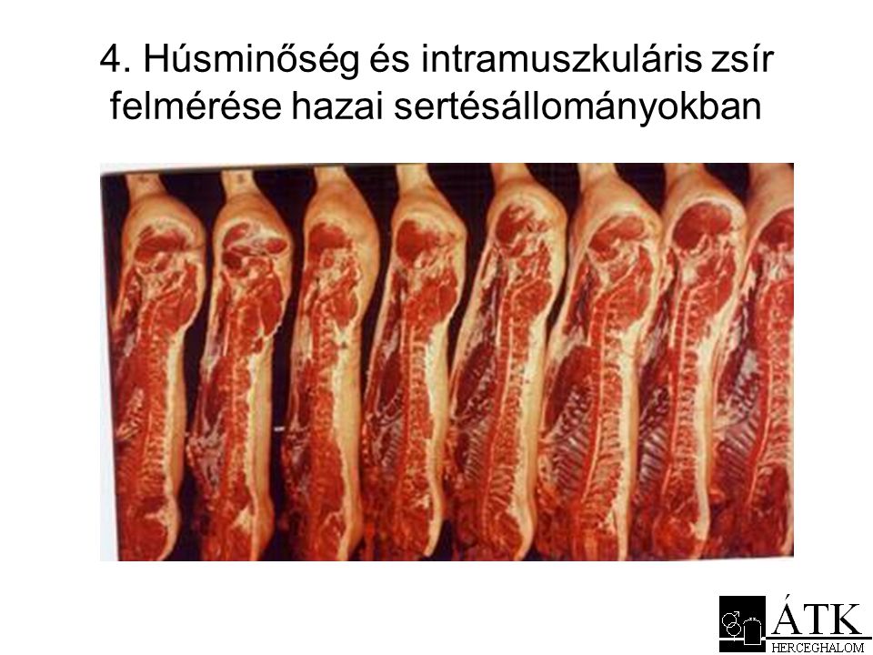 4. Húsminőség és intramuszkuláris zsír felmérése hazai sertésállományokban
