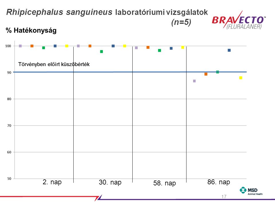 Rhipicephalus sanguineus laboratóriumi vizsgálatok (n=5)