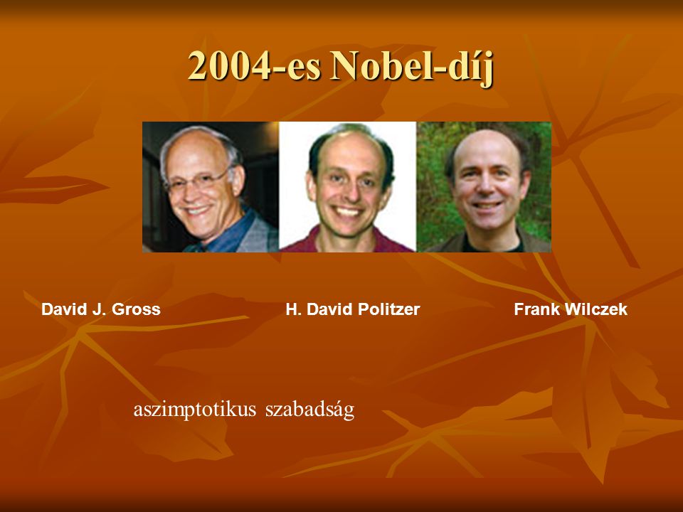 2004-es Nobel-díj aszimptotikus szabadság