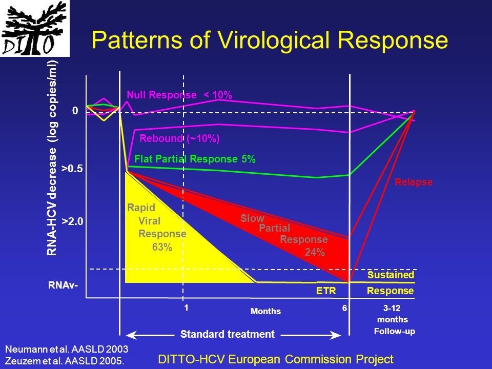 Patterns of Virological Response