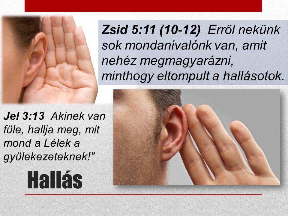 Zsid 5:11 (10-12) Erről nekünk sok mondanivalónk van, amit nehéz megmagyarázni, minthogy eltompult a hallásotok.