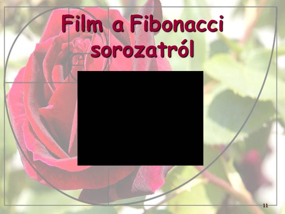 Film a Fibonacci sorozatról