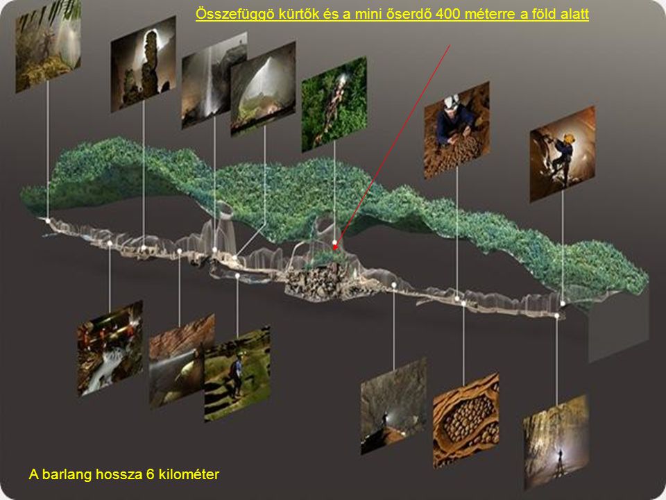 Összefüggö kürtők és a mini őserdő 400 méterre a föld alatt