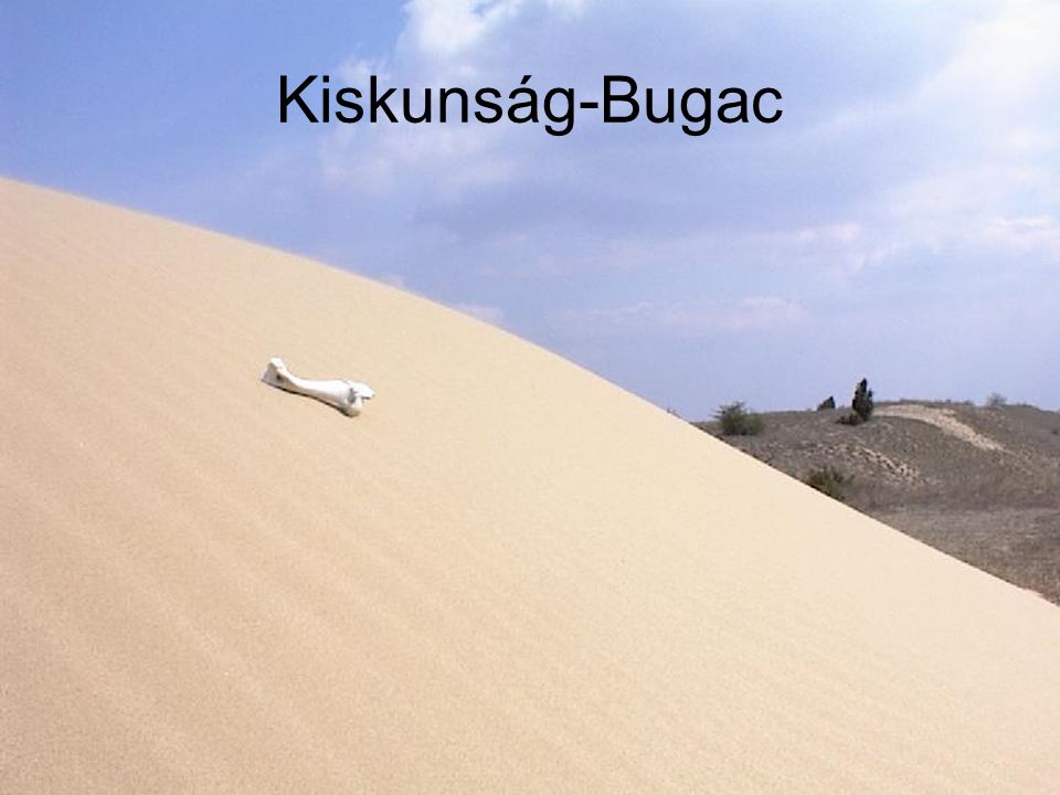 Kiskunság-Bugac