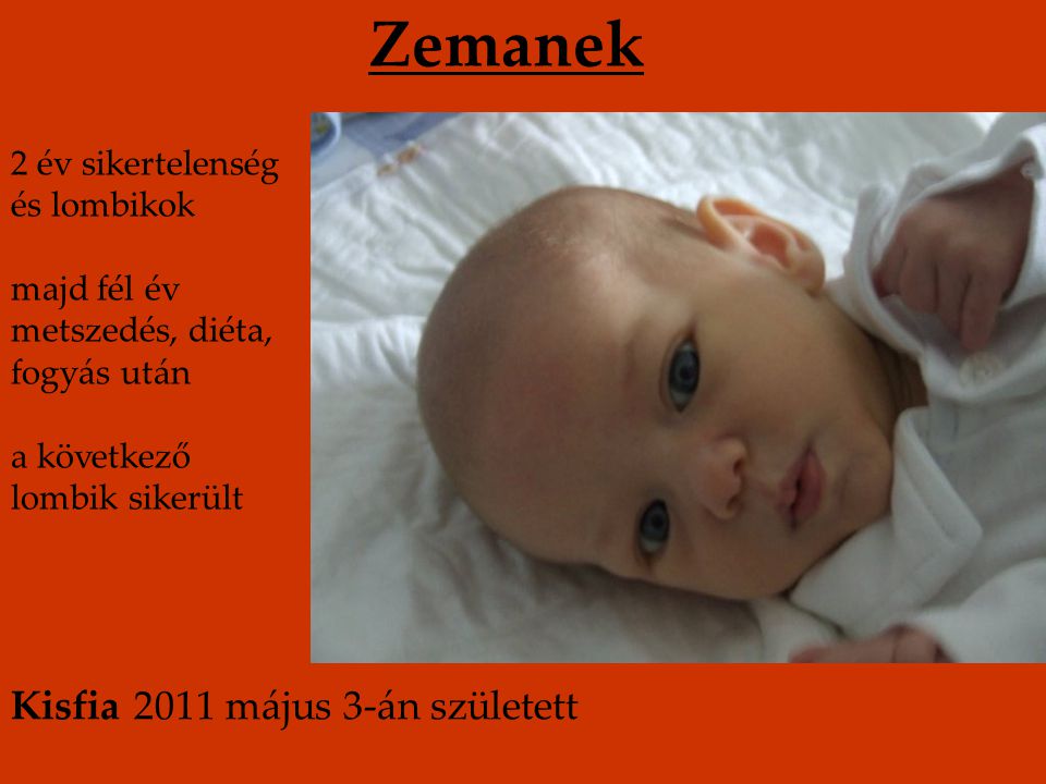 Zemanek Kisfia 2011 május 3-án született