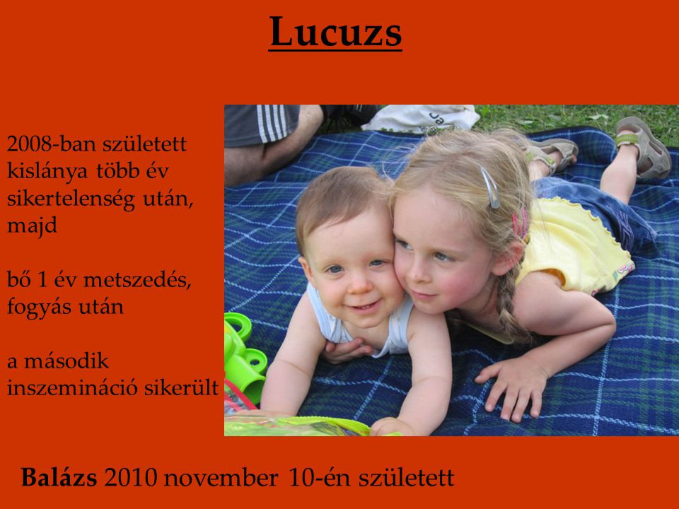 Lucuzs Balázs 2010 november 10-én született