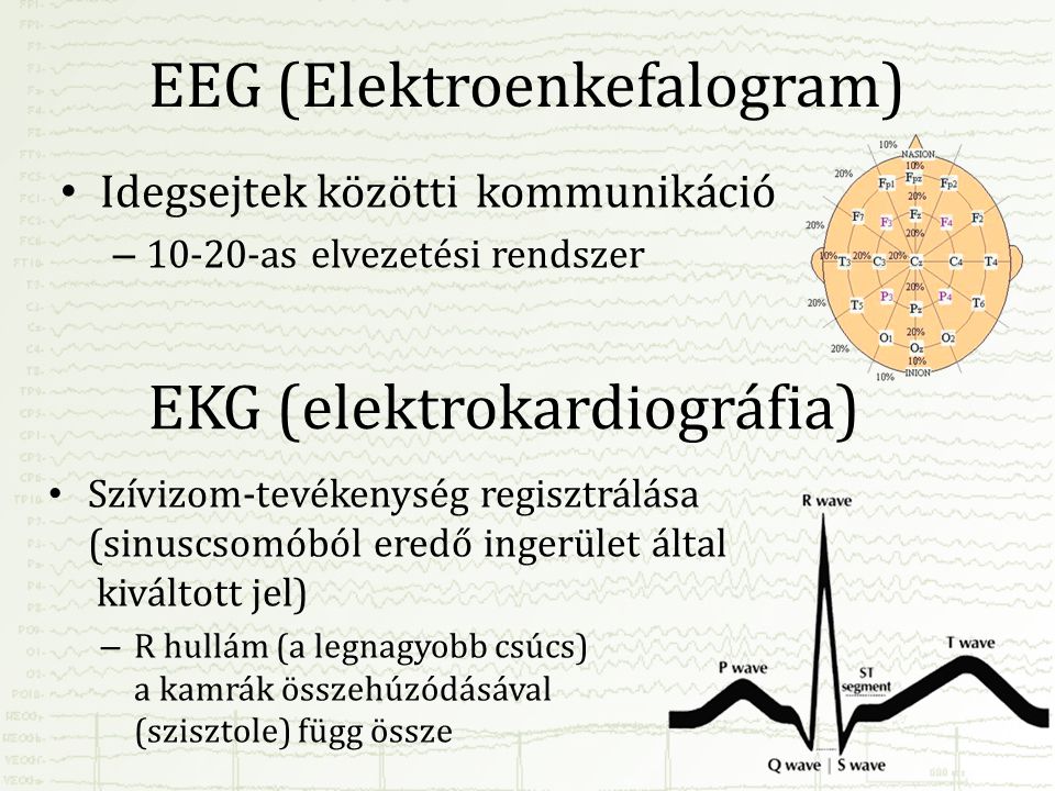 EEG (Elektroenkefalogram)