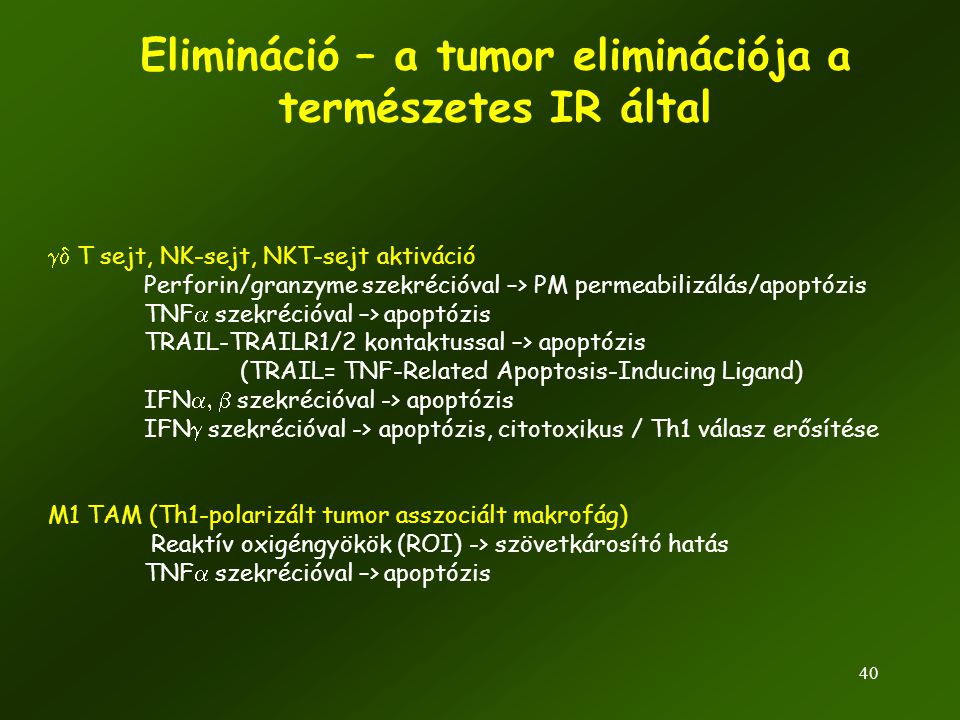 Elimináció – a tumor eliminációja a természetes IR által