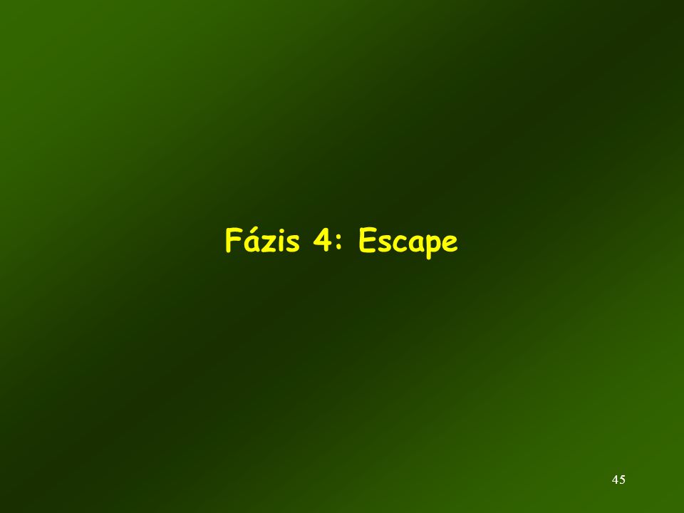 Fázis 4: Escape