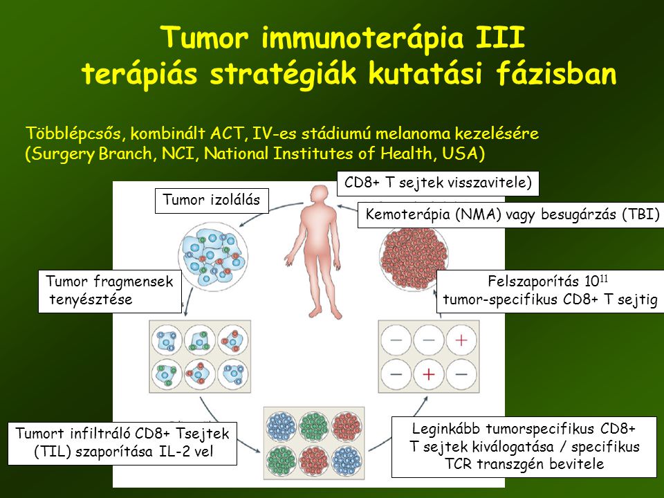 Tumor immunoterápia III terápiás stratégiák kutatási fázisban