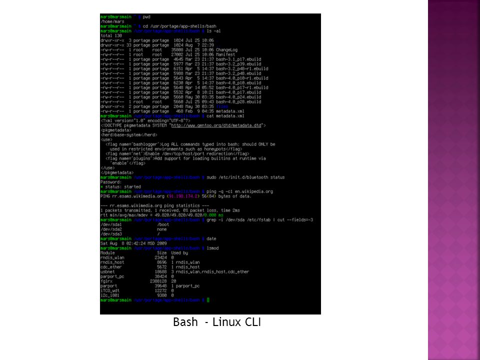 Bash - Linux CLI
