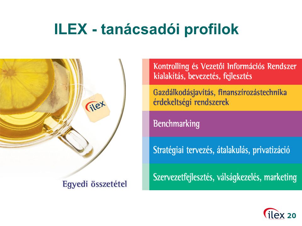 ILEX - tanácsadói profilok