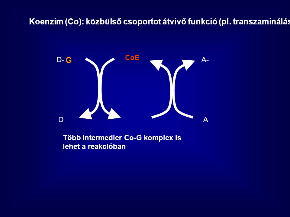 Koenzim (Co): közbülső csoportot átvivő funkció (pl. transzaminálás)