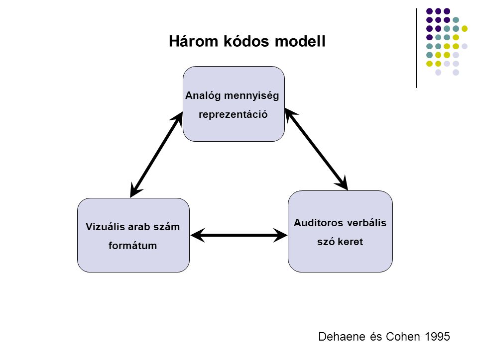 Három kódos modell Dehaene és Cohen 1995 Analóg mennyiség
