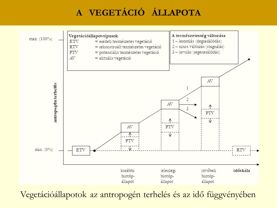 Vegetációállapotok az antropogén terhelés és az idő függvényében