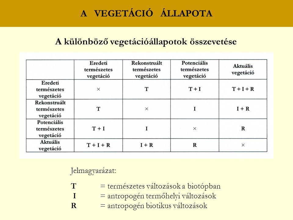 A különböző vegetációállapotok összevetése