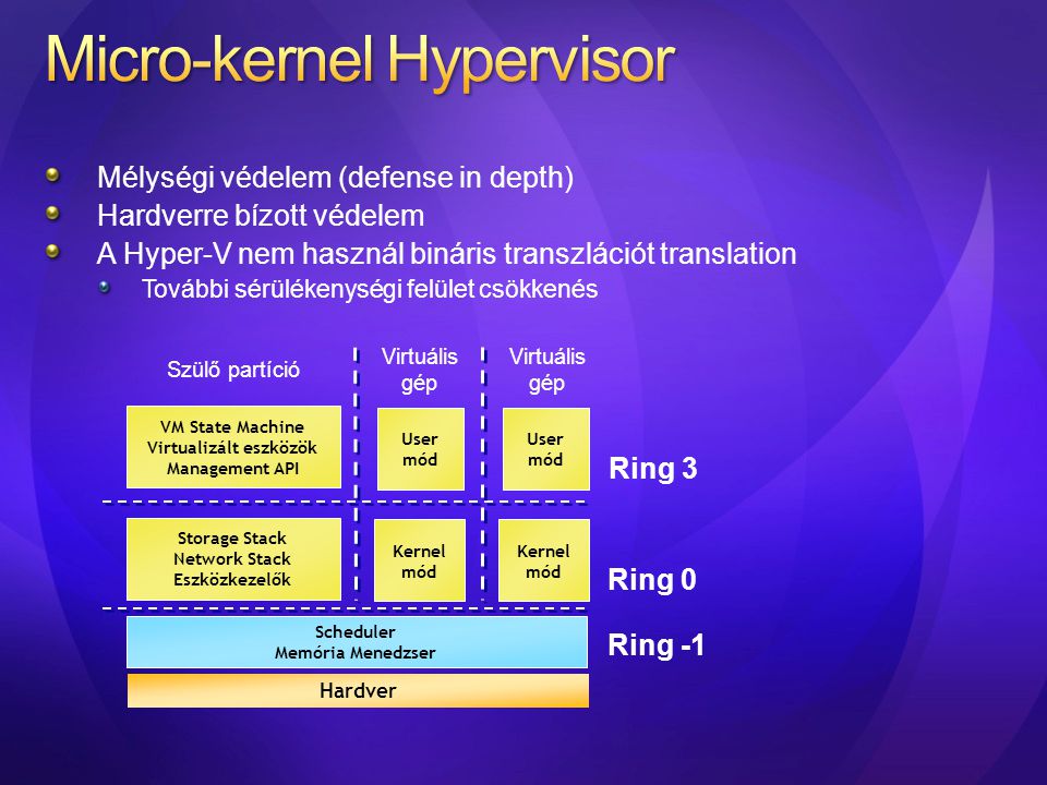 Micro-kernel Hypervisor