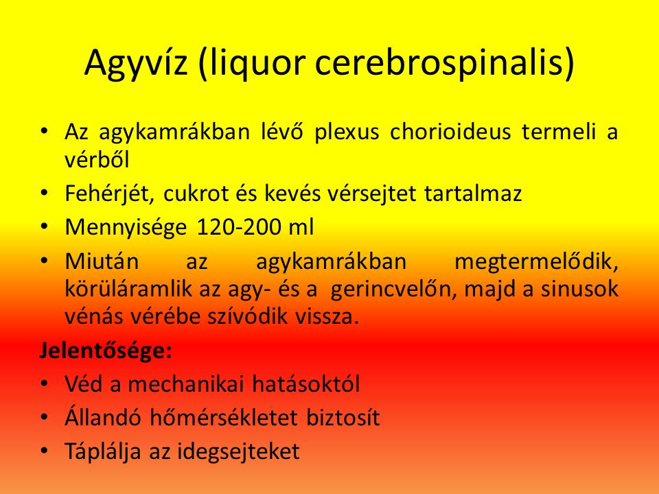 Agyvíz (liquor cerebrospinalis)