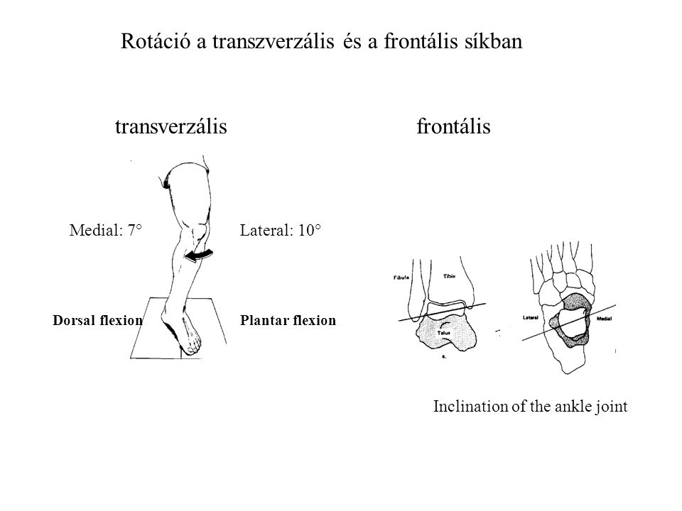 Rotáció a transzverzális és a frontális síkban