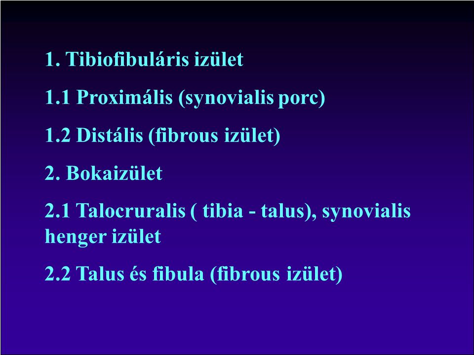 1. Tibiofibuláris izület