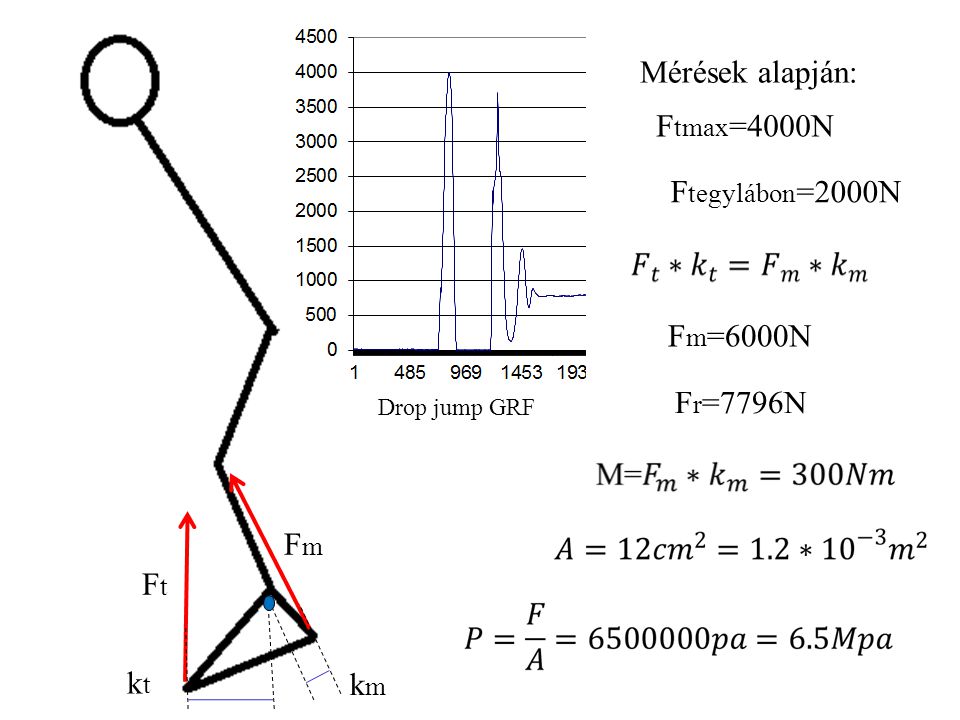 Mérések alapján: Ftmax=4000N Ftegylábon=2000N Fm=6000N Fr=7796N Fm Ft
