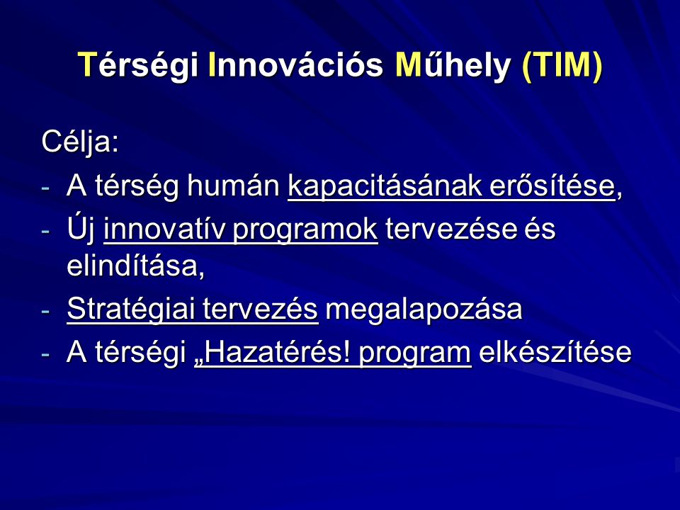 Térségi Innovációs Műhely (TIM)