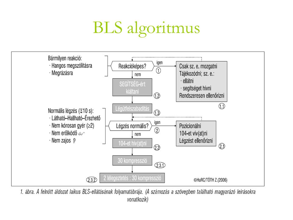 BLS algoritmus