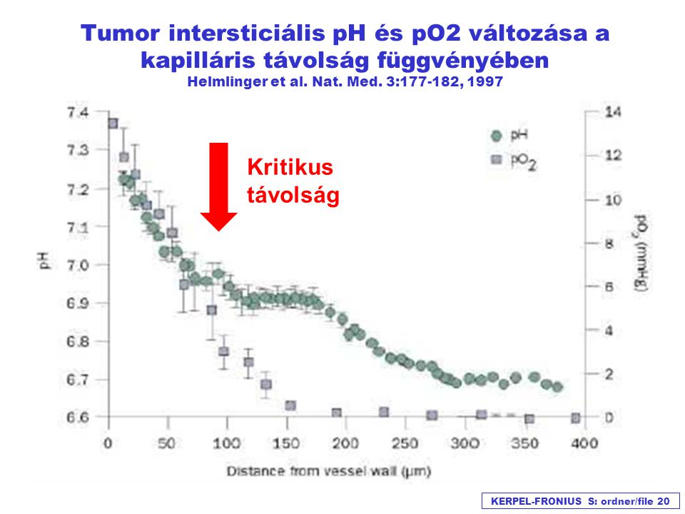 Tumor intersticiális pH és pO2 változása a kapilláris távolság függvényében Helmlinger et al. Nat. Med. 3: , 1997
