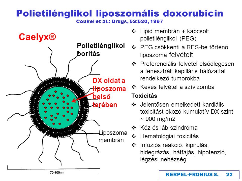 Polietilénglikol liposzomális doxorubicin Coukel et al