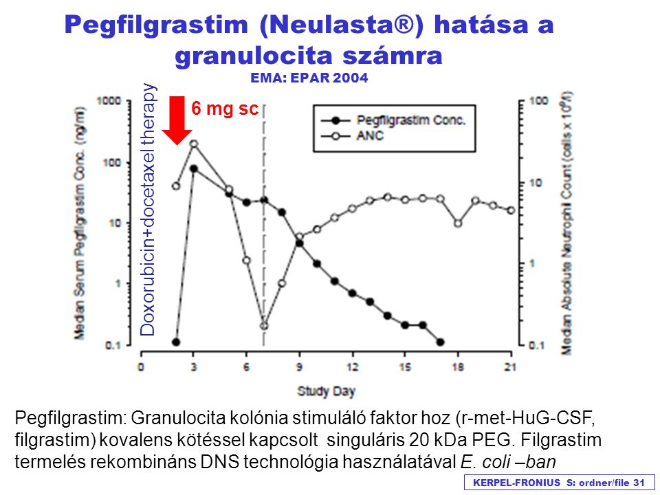 Pegfilgrastim (Neulasta®) hatása a granulocita számra EMA: EPAR 2004