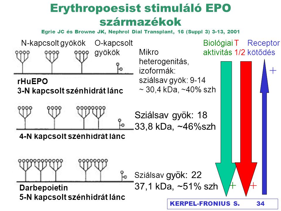 Erythropoesist stimuláló EPO származékok Egrie JC és Browne JK, Nephrol Dial Transplant, 16 (Suppl 3) 3-13, 2001