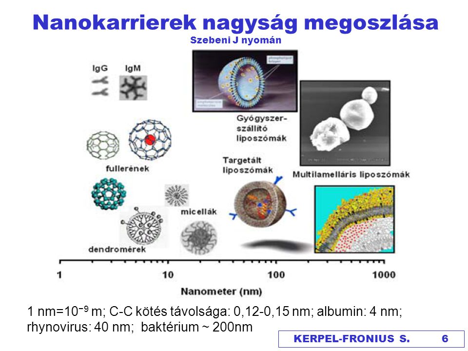 Nanokarrierek nagyság megoszlása Szebeni J nyomán